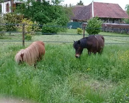 Le Fer A Cheval *
