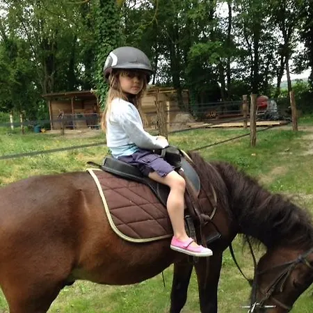 Le Fer A Cheval Prázdninový dům Bouilly (Aube)
