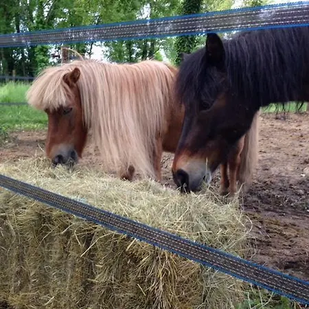 Prázdninový dům Le Fer A Cheval *