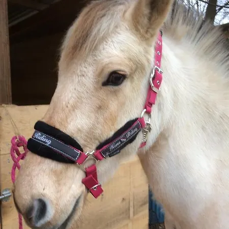 Prázdninový dům Le Fer A Cheval