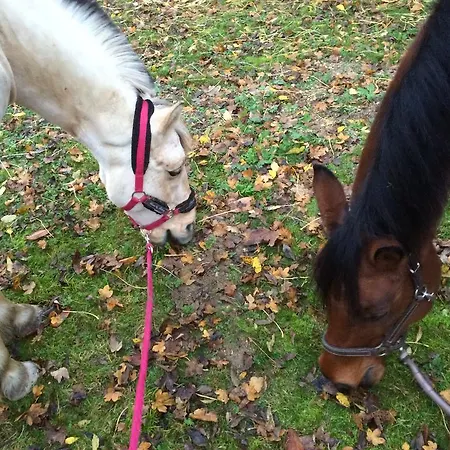 Le Fer A Cheval Bouilly (Aube)